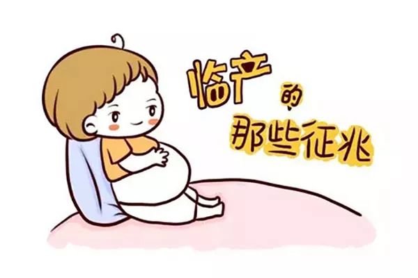 十月怀胎期间会不会来姨妈,宝宝怀胎10月最怕的是什么
