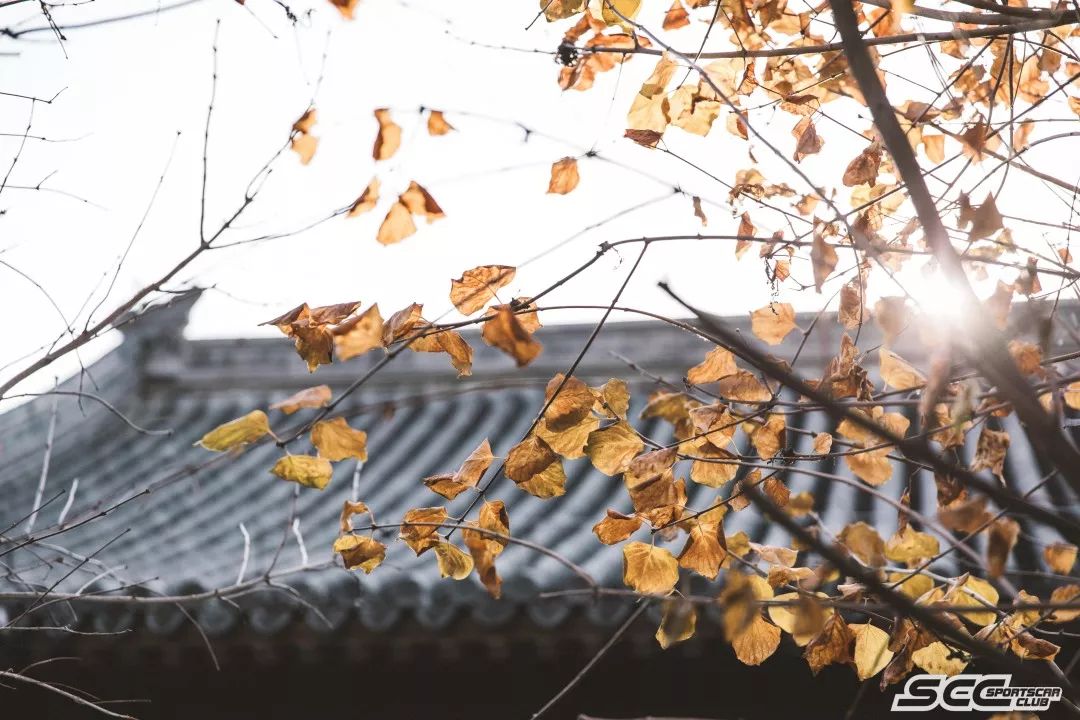 轻食餐指南,便捷轻食推荐