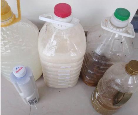 新手养花怎么让花不死,养花新手都养不死的植物