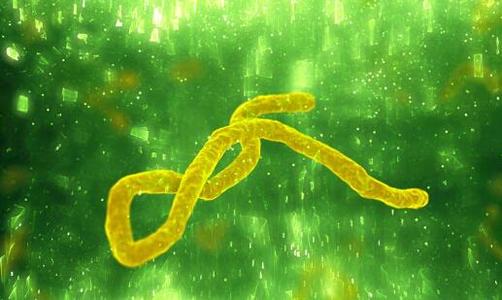 预防猩红热的安全教育,猩红热需要注意的事项