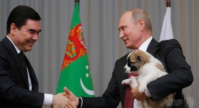 硬汉普京养的狗,硬汉普京的狗狗