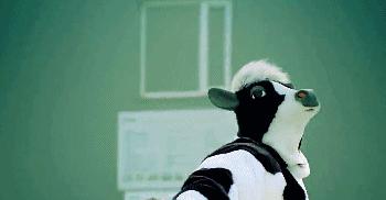 高钙奶复合蛋白饮品有营养吗,高钙牛奶舒化奶