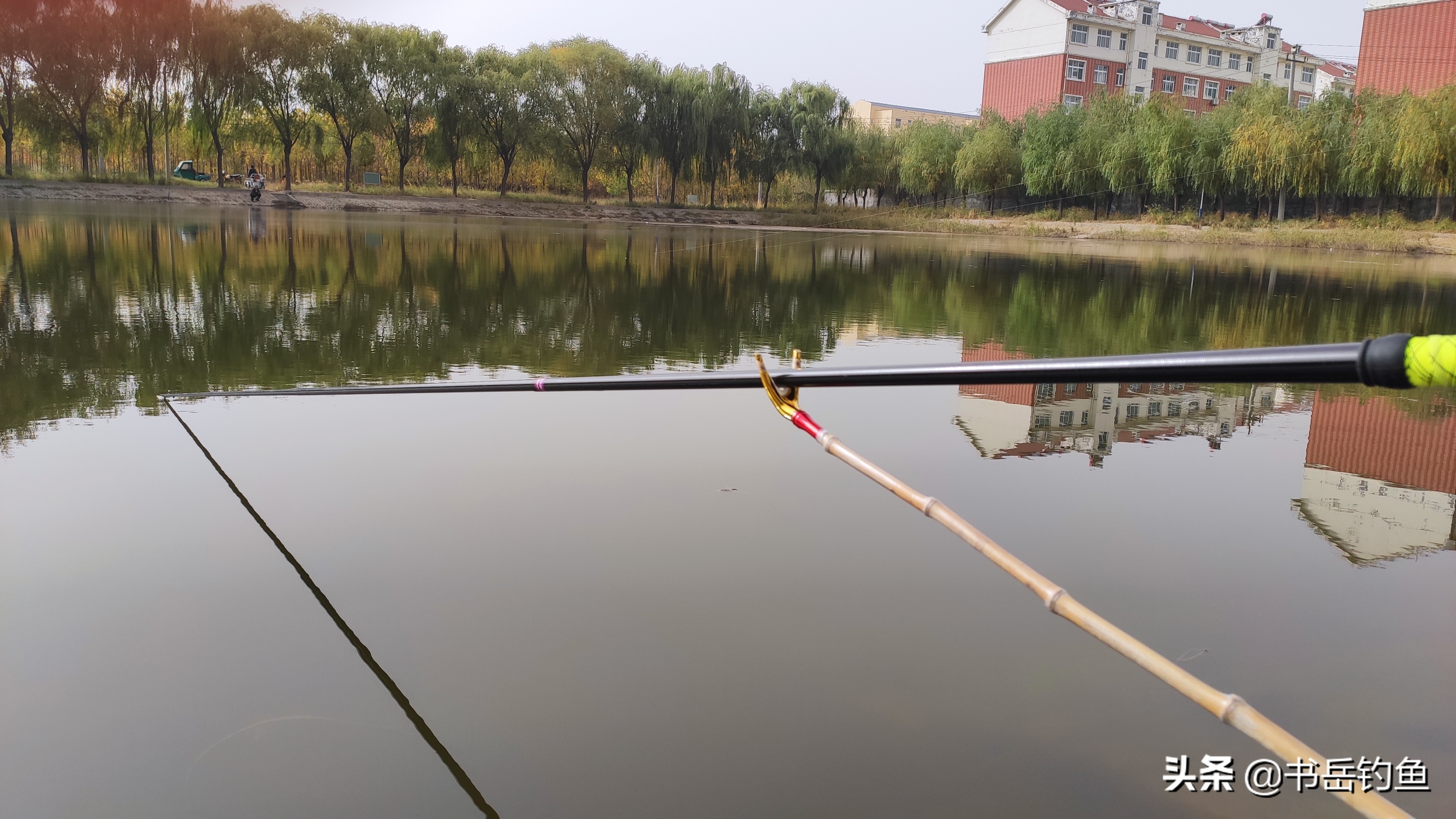 手竿钓鲤鱼花鲢白条闹窝怎么应对,白条闹窝的最有效的方法钓鲫鱼