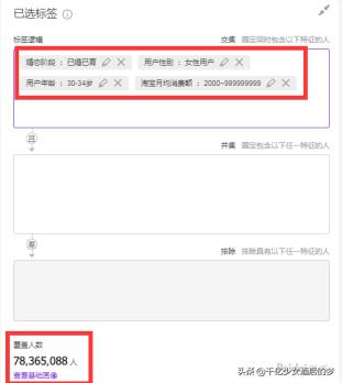 如何运营达摩盘,达摩盘人群怎么玩
