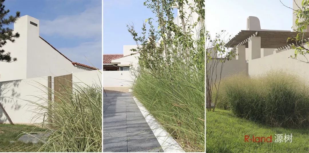 「源树作品」无形中的有形——秦皇岛阿那亚三期景观设计