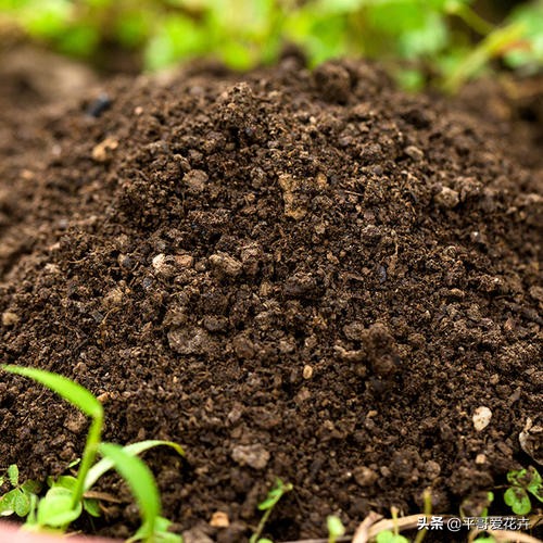 土壤缺少营养怎么补,土壤贫瘠改善
