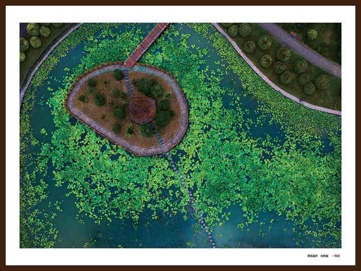 #娌冲崡鐞嗗伐澶у,鎴戠殑姣嶆牎