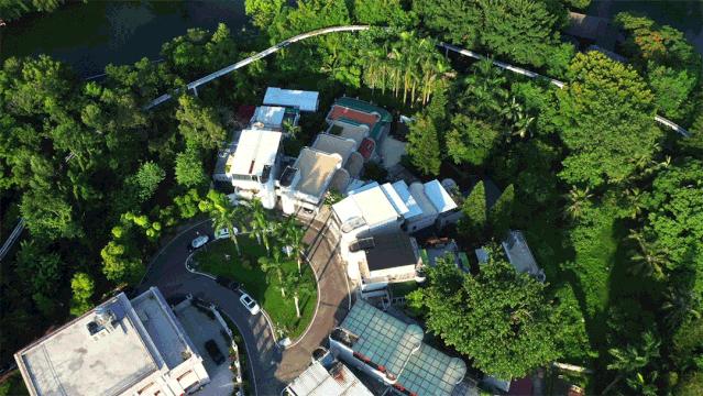 装着上百件藏品的艺术之家竟然还有野趣园林