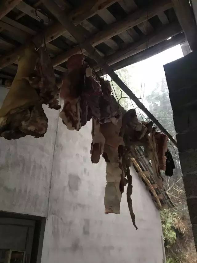 我的家乡被遗忘,我的家乡曾经也很美丽