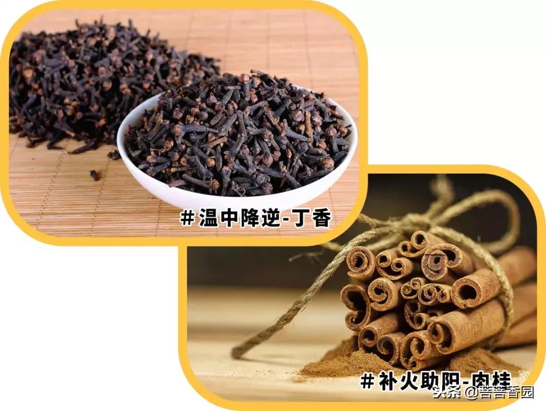 鏈嶆皵鐨勬湇鎷奸煶,杈熻胺鏈嶆皵涓庢湇楗电殑鍖哄埆