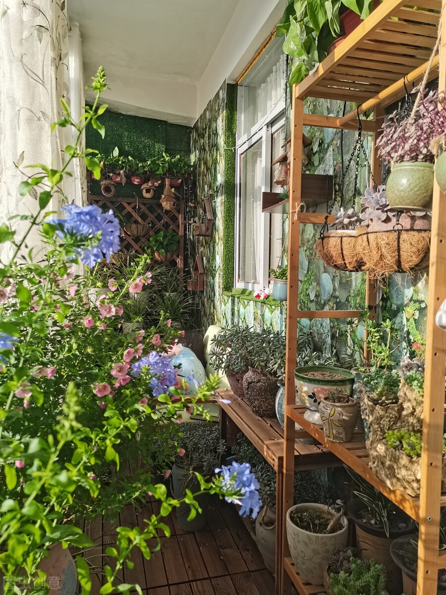 养花越用心好像越成为负担,养花赚钱的方法