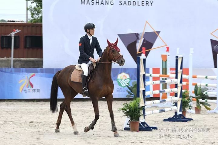 帅呆了！我们的太仓马术少年！