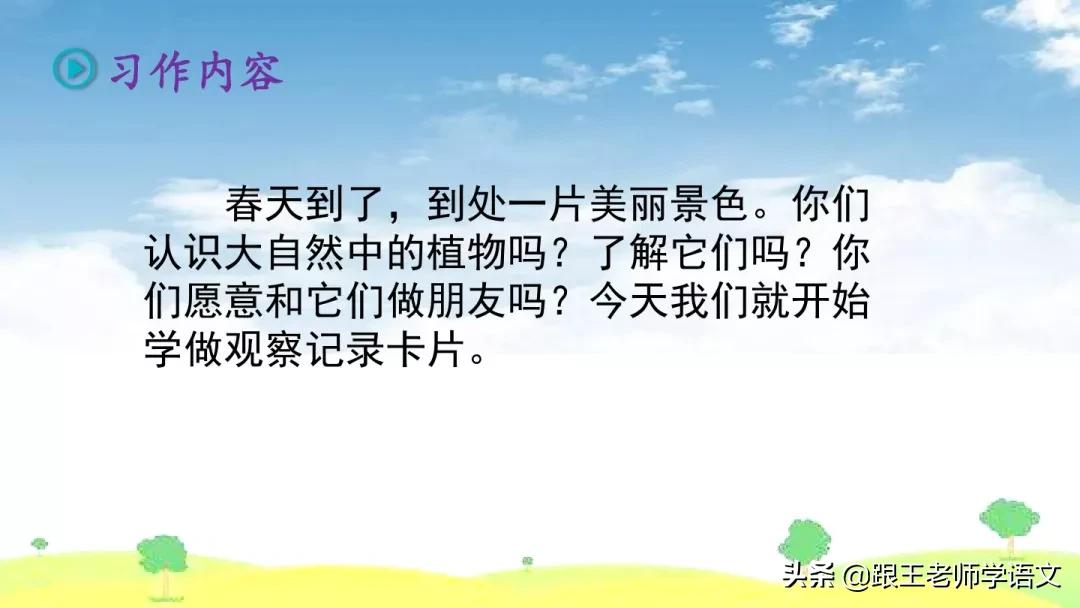 我的植物朋友竹子作文三年级300字,三年级下册我的植物朋友习作评语