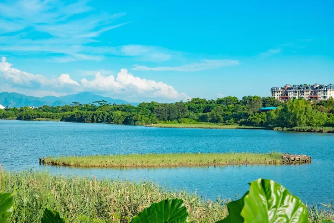 深圳旅游攻略一日游路线推荐,深圳自驾游一日游最佳路线图