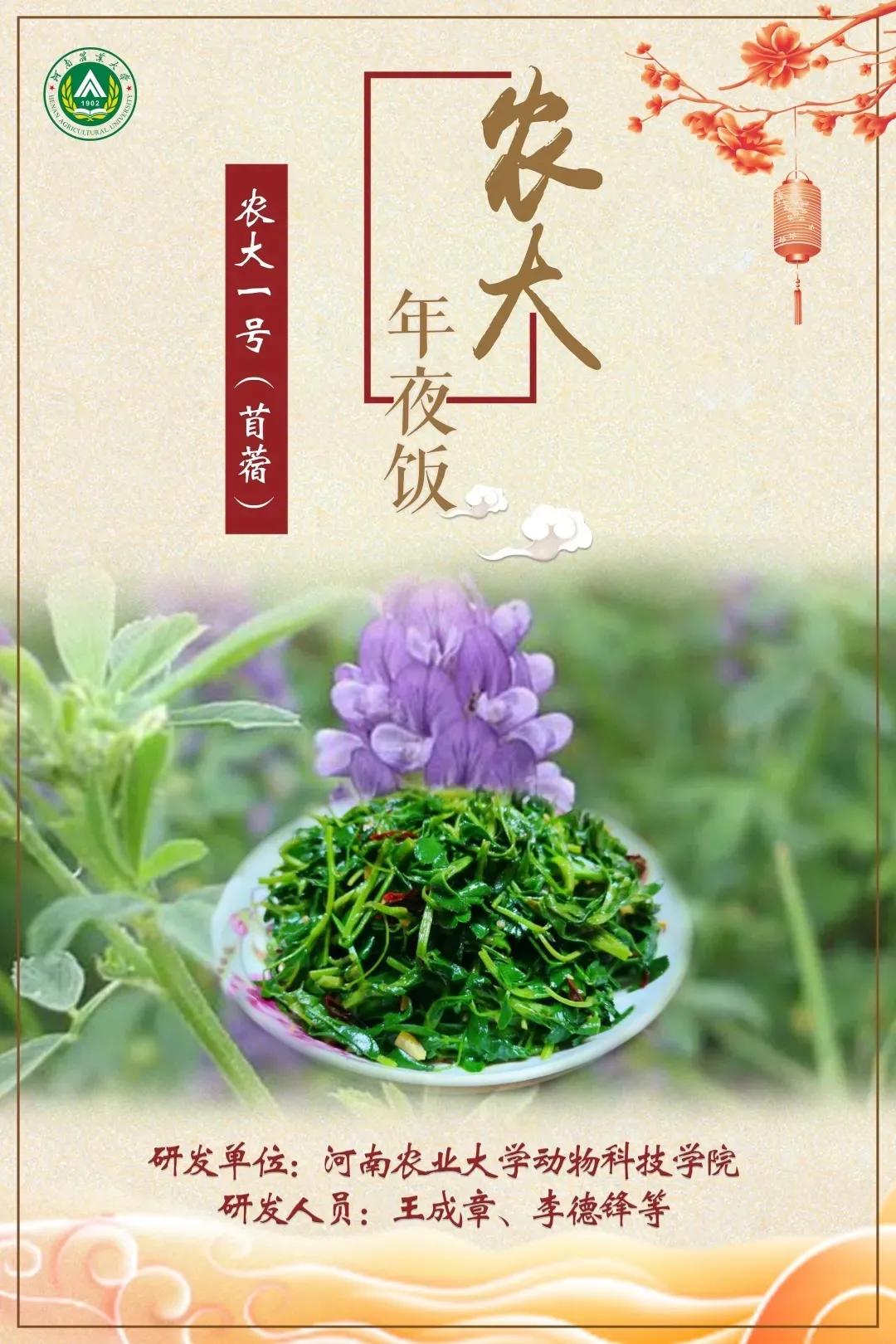 农大人,农大人美食