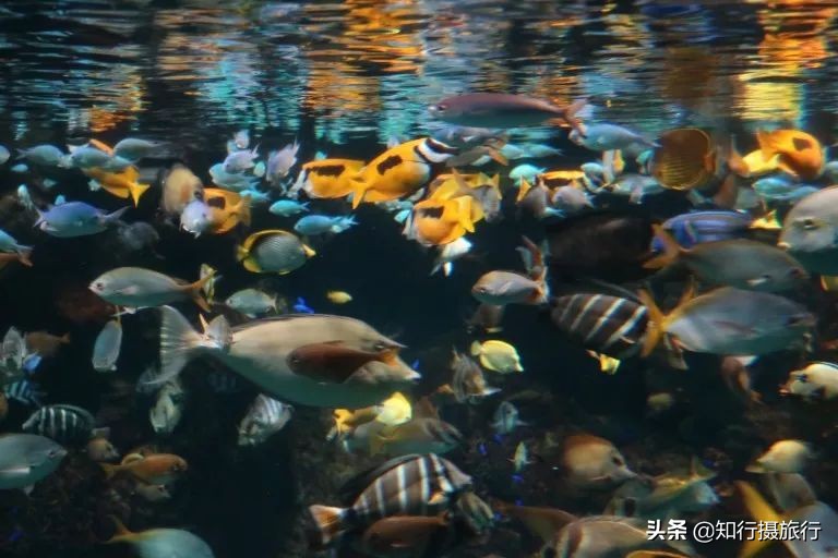 大阪小众景点,去大阪注意事项