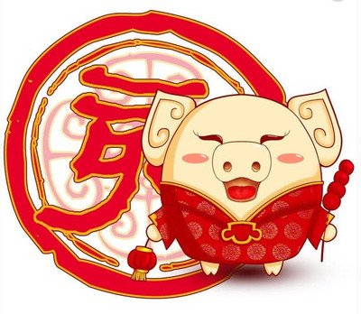 今年猪年的新年是哪一天,猪年几年一个本命年