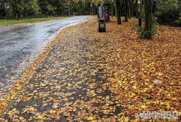 申请拉夫堡体育专业研究生很难吗,申请拉夫堡体育本科