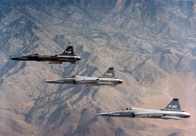 极富悲剧色彩的虎鲸,虎鲨悲剧