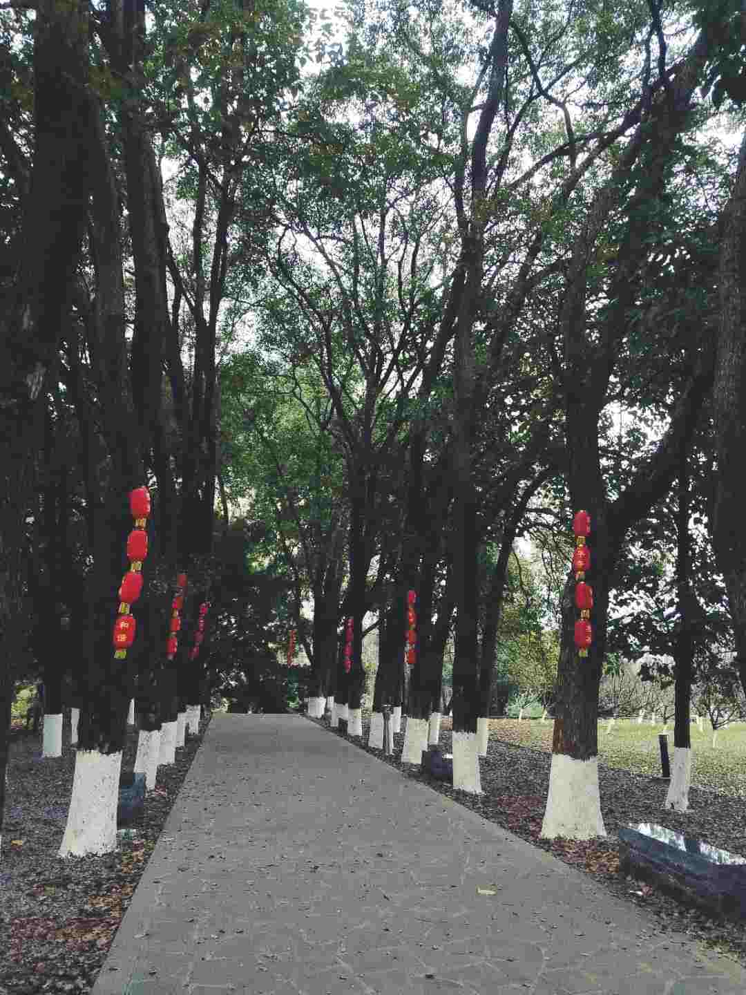 情知不久须相见，一日甚三秋，愁来不自由。‖马坝人遗址公园