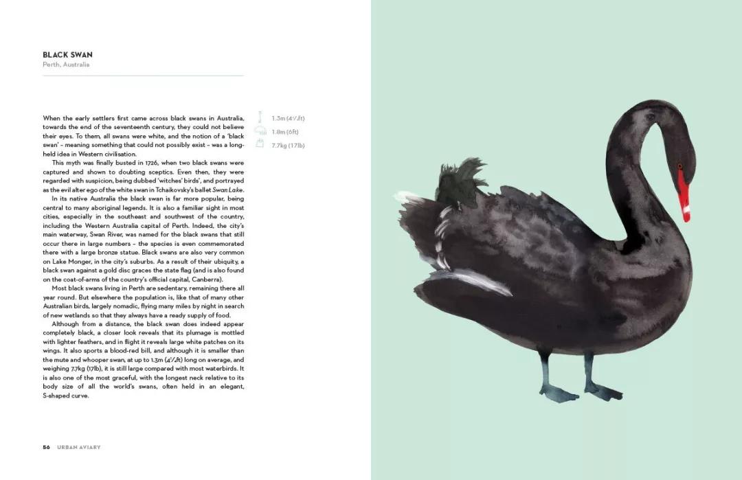 童真稚趣,稚拙童趣天真