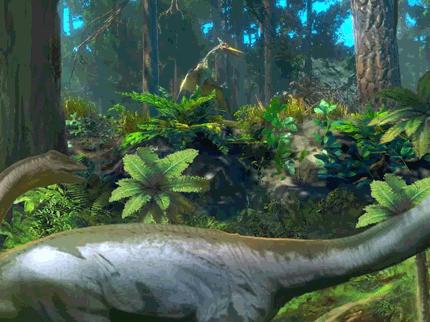 阿唛龙幻想乐园游玩项目,阿唛龙幻想乐园乌鲁木齐游玩路线