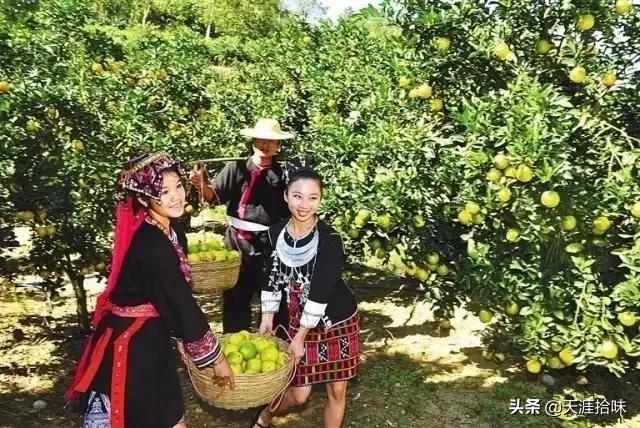 海南19个市县226个旅游景点,海南100个旅游景点