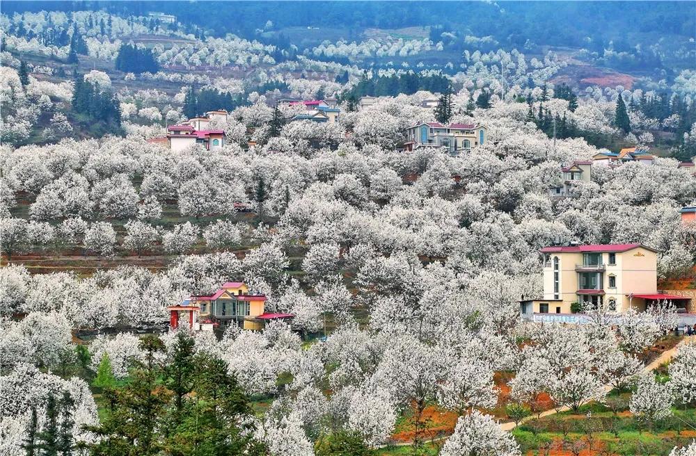 出门随处见绿，身边处处成景！看个旧如何实现“转型逆袭”→