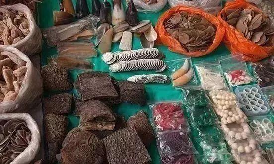 放过大象吧！别再用大象皮车珠子了！