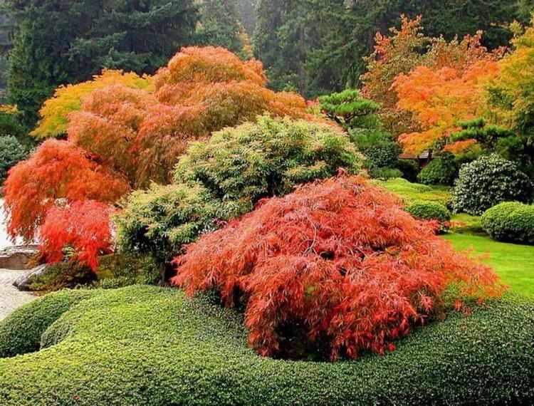 美景欣赏完整版,美景欣赏花朵
