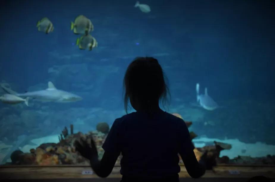 挫败感来得猝不及防,挫败感很强怎么办