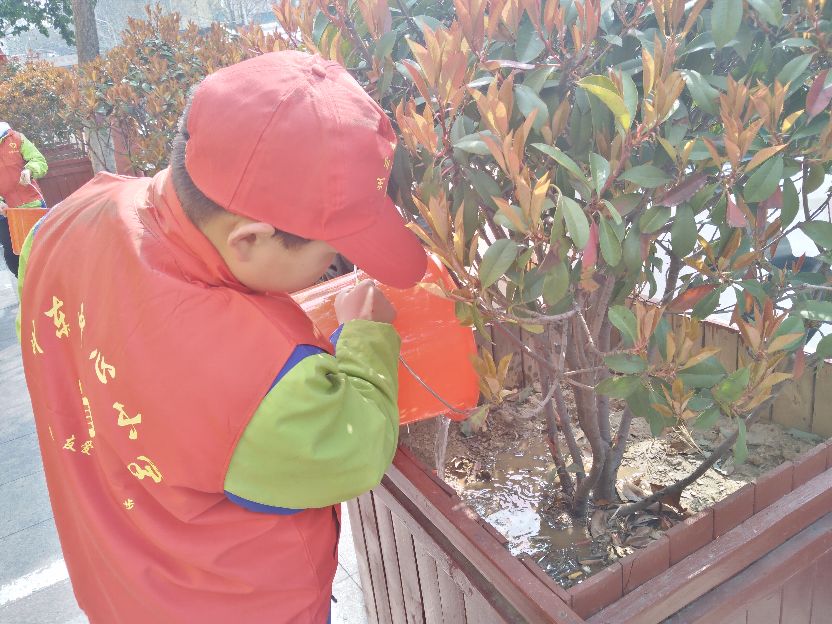 绿化环境美化家园的图片,绿化环境美化家园课件