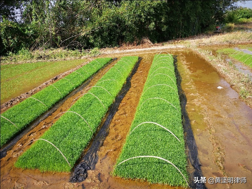 贩毒卖毒的量刑,贩毒卖毒如何定罪