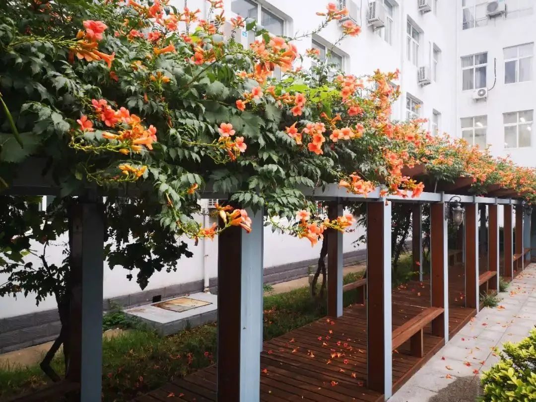 北京所有小学排名一览表,北京30所小学排名一览表