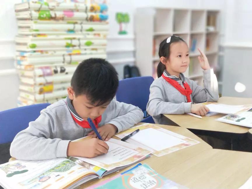 深圳小学择校,深圳择校