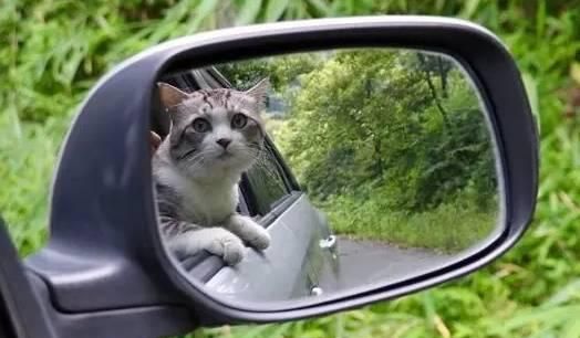 秘乐小视频短片,秘乐视频项目