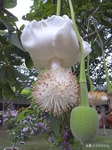 送给群友的美图,最新群相册大全