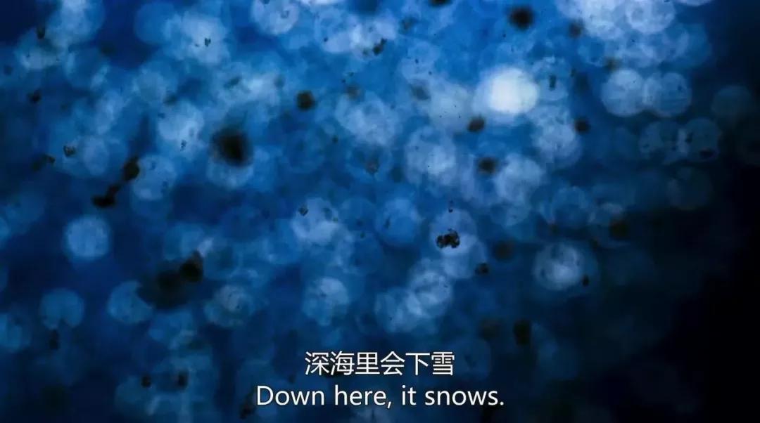 这6部电影足以秒杀大部分电影,十部必看旅行纪录片人文纪录片