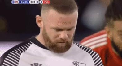 鲁尼职业生涯50大经典比赛,鲁尼上赛季数据