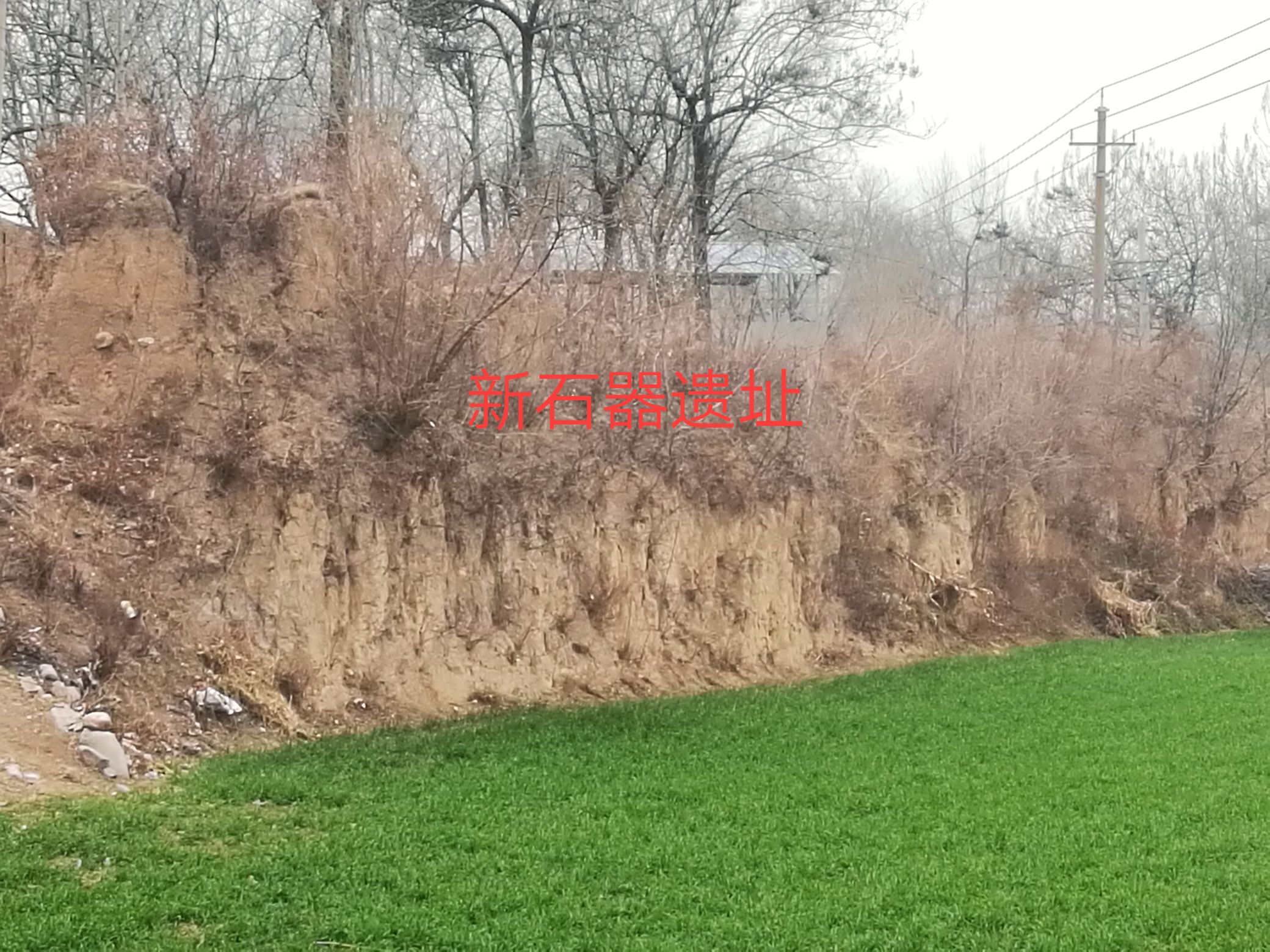 伊川白沙陈村红山文化