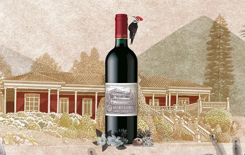 18罗汉酒,智利18罗汉适合收藏的酒