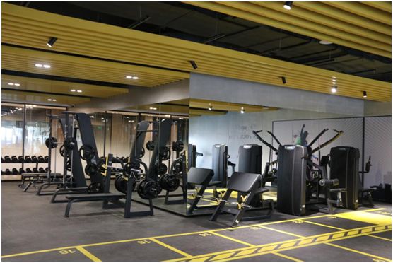 万字长文100条,粤港澳大湾区蓝皮书电子版