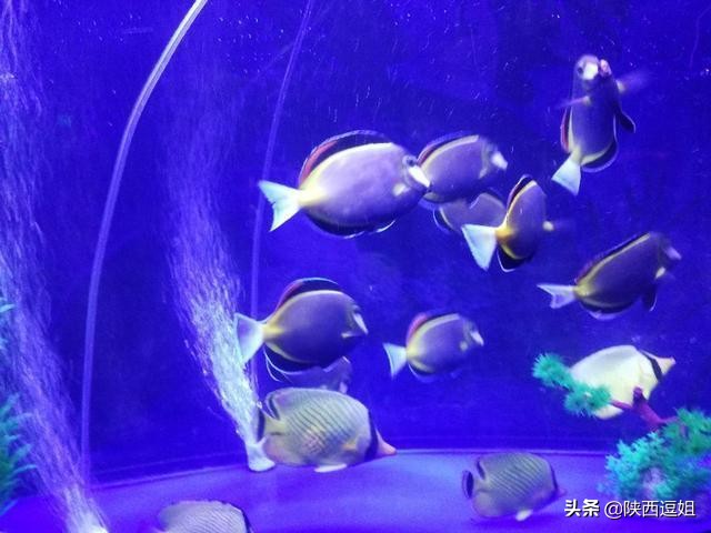 五一长假到哪儿,西安五一游玩攻略一览表