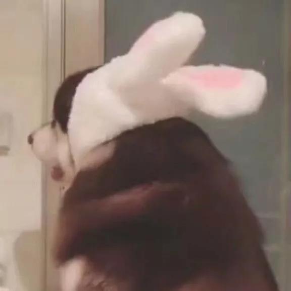 浪漫超甜情话短句100句,又甜又撩人的情话简短