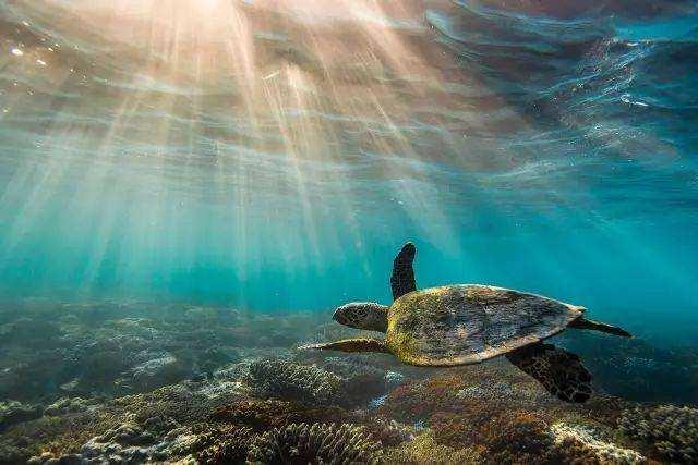 南宁国际知名度,南宁市所有认识的朋友