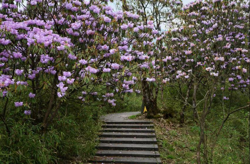 成都周边田园旅游攻略,成都冬季最理想的旅游线路