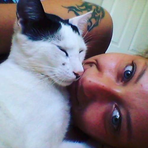 猫咪主动亲吻主人好几次说明什么,猫咪的鼻吻