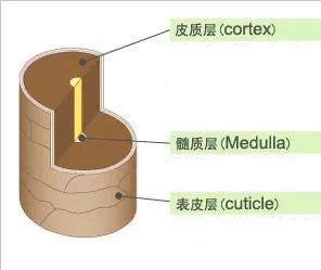 最全护发教程,修复烫染后受损发质头发护理