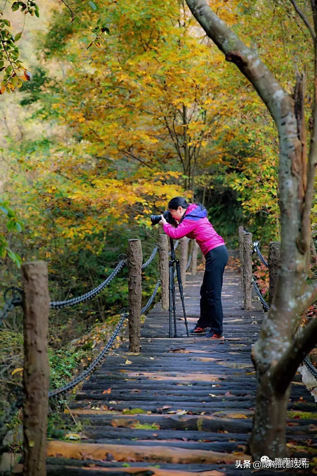 閲戠宄渤鍏洯,閲戠瑁曟渤鍥剧墖