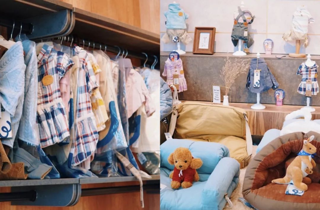 南京值得去生活吗,在南京生活15年的感受